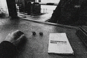 Fanzine sistemas políticos sátira